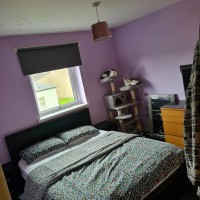 Rosslyn Gardens, Rosslyn Gardens, KIRKCALDY KY1 3BF: Bedroom 2