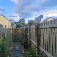 Peacehill View, Wormit, Newport-On-Tay DD6 8EP